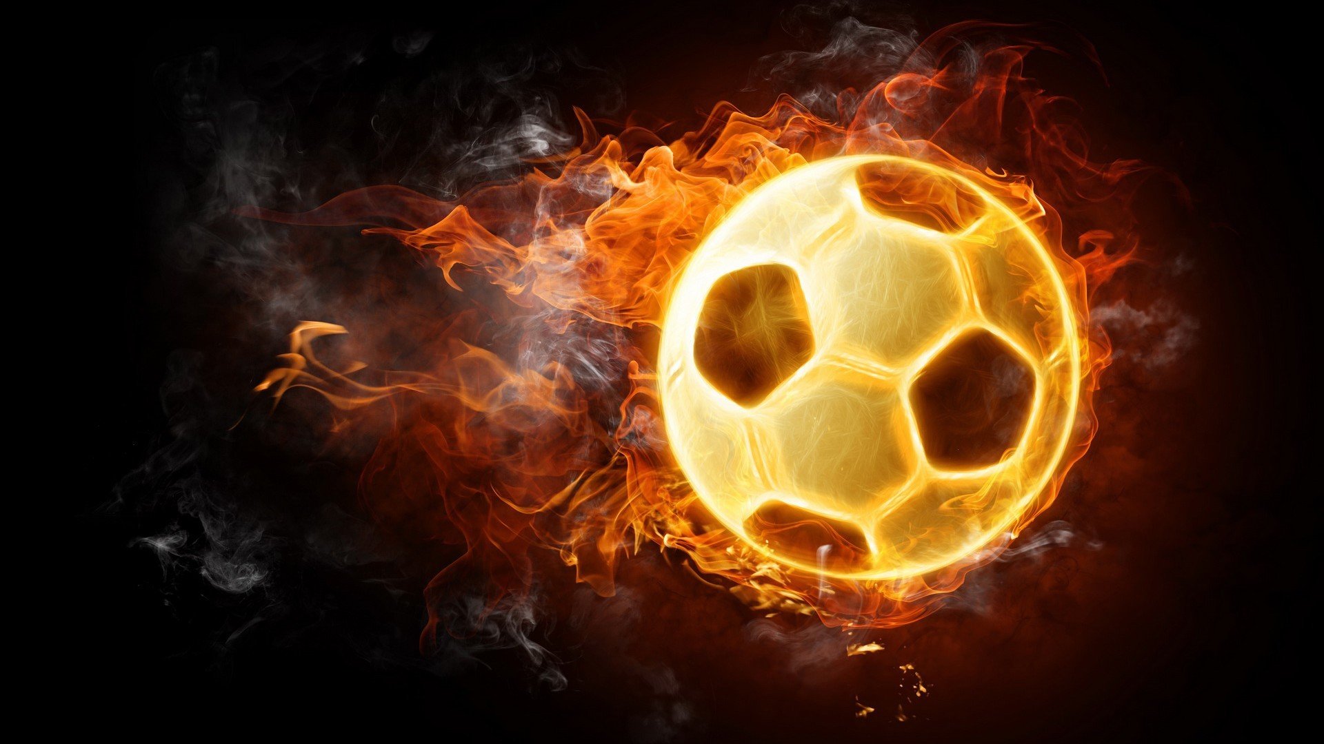 塞内加尔马术协会与国际组织合作，推广“Lamb”至全球。